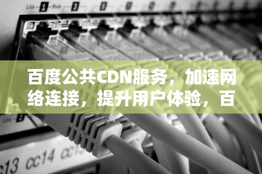百度公共CDN服务，加速网络连接，提升用户体验，百度公共事务部