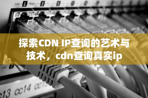 探索CDN IP查询的艺术与技术，cdn查询真实ip
