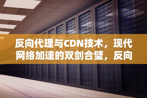 反向代理与CDN技术，现代网络加速的双剑合璧，反向代理cdn