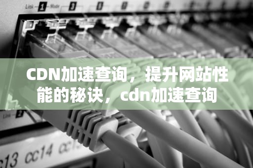 CDN加速查询，提升网站性能的秘诀，cdn加速查询