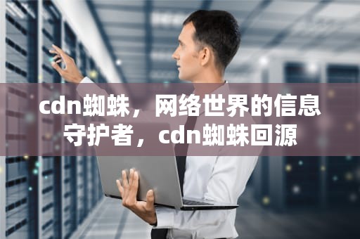 cdn蜘蛛，网络世界的信息守护者，cdn蜘蛛回源