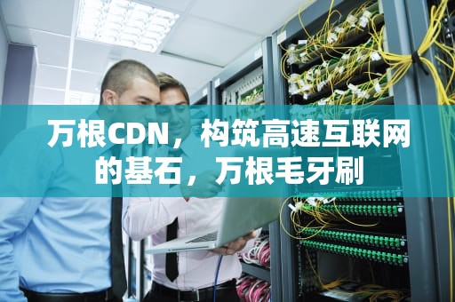 万根CDN，构筑高速互联网的基石，万根毛牙刷