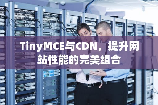 TinyMCE与CDN，提升网站性能的完美组合