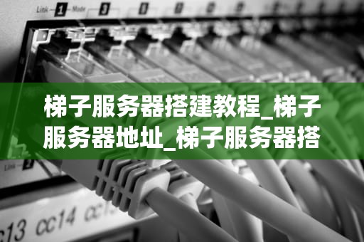 梯子服务器搭建教程_梯子服务器地址_梯子服务器搭建教程