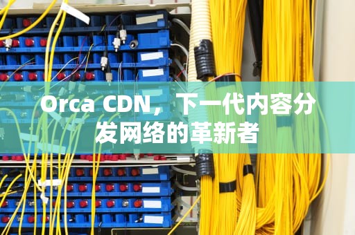 Orca CDN，下一代内容分发网络的革新者