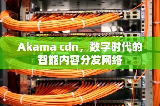 Akama cdn，数字时代的智能内容分发网络