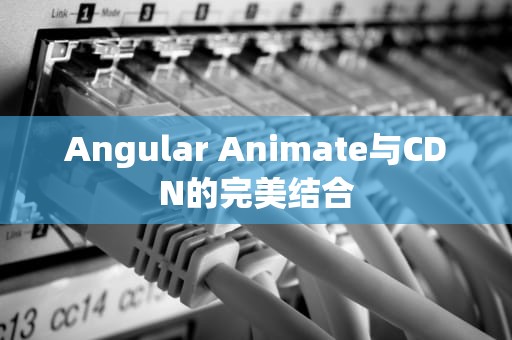 Angular Animate与CDN的完美结合