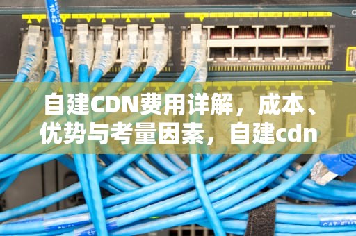 自建CDN费用详解，成本、优势与考量因素，自建cdn赚钱