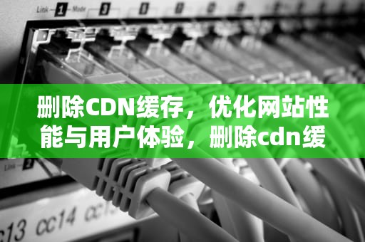 删除CDN缓存，优化网站性能与用户体验，删除cdn缓存
