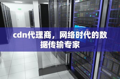 cdn代理商，网络时代的数据传输专家