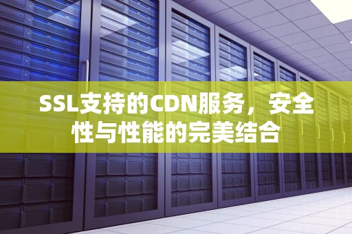 SSL支持的CDN服务，安全性与性能的完美结合