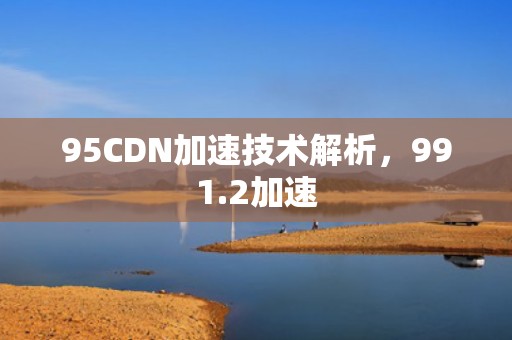 95CDN加速技术解析，991.2加速