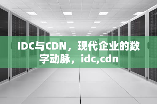 IDC与CDN，现代企业的数字动脉，idc,cdn
