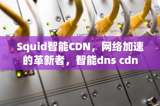 Squid智能CDN，网络加速的革新者，智能dns cdn