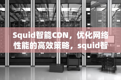 Squid智能CDN，优化网络性能的高效策略，squid智能web代理
