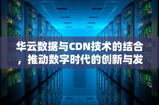 华云数据与CDN技术的结合，推动数字时代的创新与发展，华云数据 程伟 武汉职业
