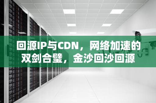 回源IP与CDN，网络加速的双剑合璧，金沙回沙回源