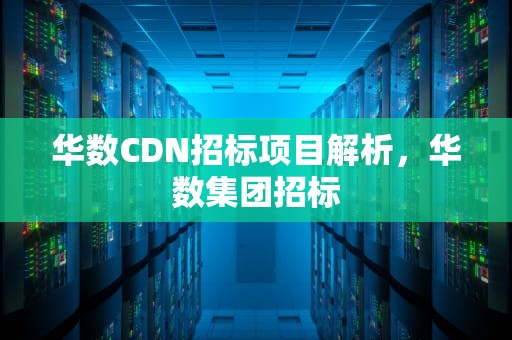 华数CDN招标项目解析，华数集团招标