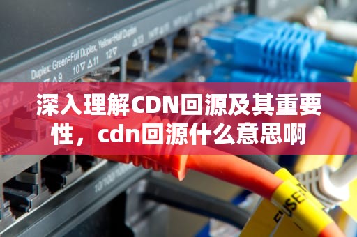 深入理解CDN回源及其重要性，cdn回源什么意思啊