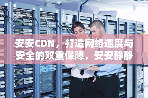 安安CDN，打造网络速度与安全的双重保障，安安静静类似词语