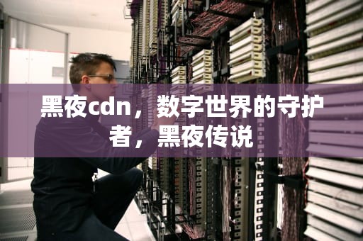 黑夜cdn，数字世界的守护者，黑夜传说