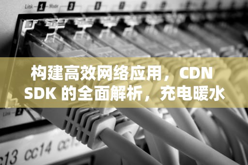 构建高效网络应用，CDN SDK 的全面解析，充电暖水袋可以带上高铁吗