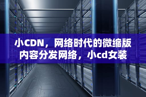 小CDN，网络时代的微缩版内容分发网络，小cd女装