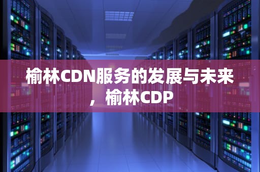 榆林CDN服务的发展与未来，榆林CDP