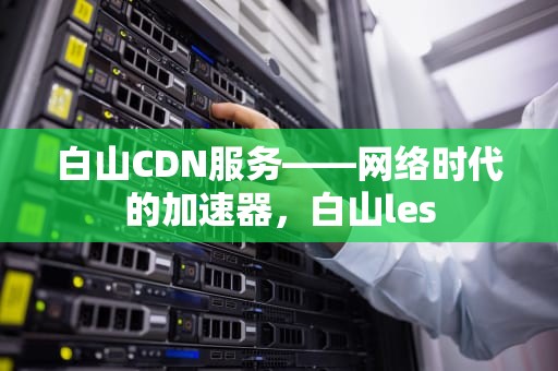 白山CDN服务——网络时代的加速器，白山les