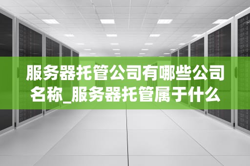 服务器托管公司有哪些公司名称_服务器托管属于什么经营范围_服务器托管公司及其服务