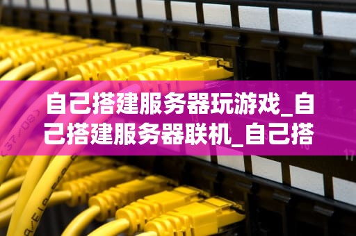自己搭建服务器玩游戏_自己搭建服务器联机_自己搭建服务器玩游戏的探索与实践