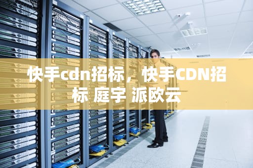 快手cdn招标，快手CDN招标 庭宇 派欧云