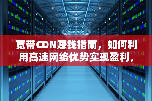 宽带CDN赚钱指南，如何利用高速网络优势实现盈利，宽带cdn赚钱