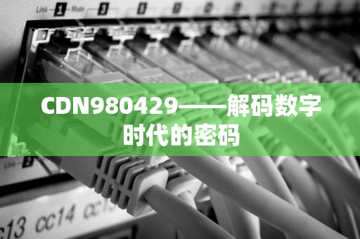 CDN980429——解码数字时代的密码