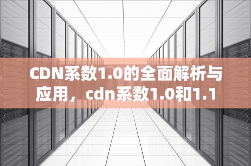 CDN系数1.0的全面解析与应用，cdn系数1.0和1.1