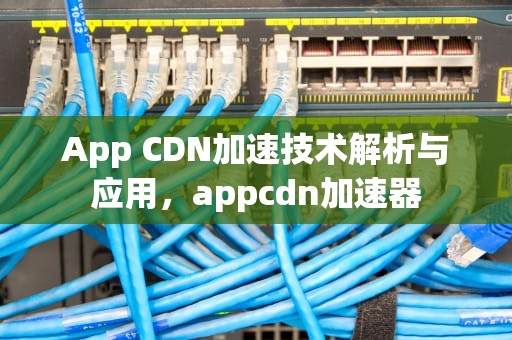 App CDN加速技术解析与应用，appcdn加速器