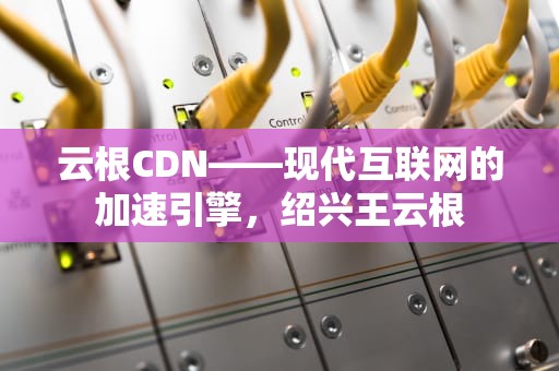 云根CDN——现代互联网的加速引擎，绍兴王云根