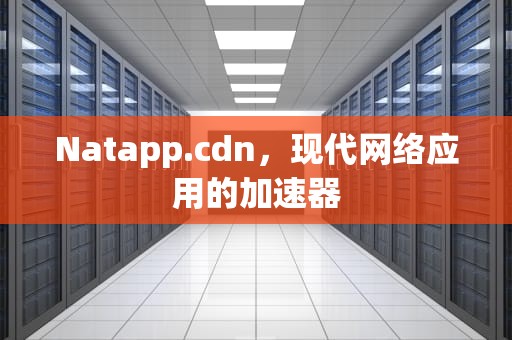 Natapp.cdn，现代网络应用的加速器