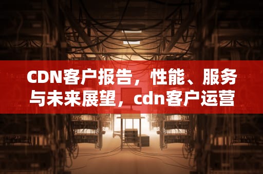 CDN客户报告，性能、服务与未来展望，cdn客户运营