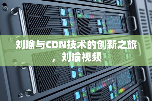 刘瑜与CDN技术的创新之旅，刘瑜视频