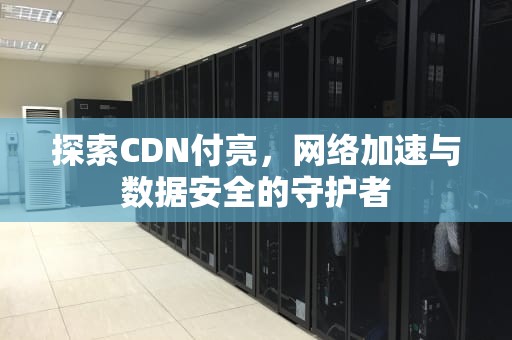 探索CDN付亮，网络加速与数据安全的守护者