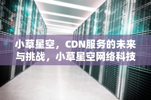 小草星空，CDN服务的未来与挑战，小草星空网络科技公司严鹏