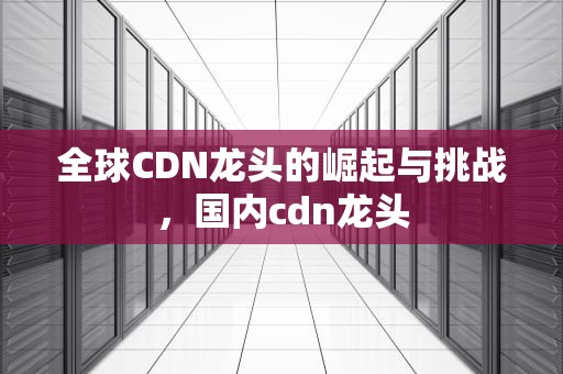 全球CDN龙头的崛起与挑战，国内cdn龙头