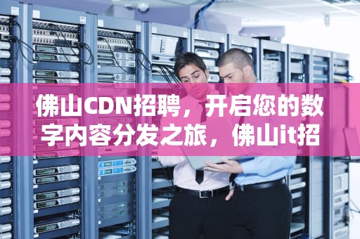 佛山CDN招聘，开启您的数字内容分发之旅，佛山it招聘
