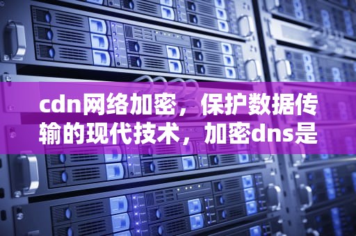 cdn网络加密，保护数据传输的现代技术，加密dns是什么
