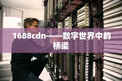 1688cdn——数字世界中的桥梁