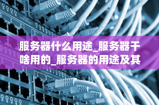 服务器什么用途_服务器干啥用的_服务器的用途及其重要性