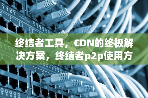 终结者工具，CDN的终极解决方案，终结者p2p使用方法