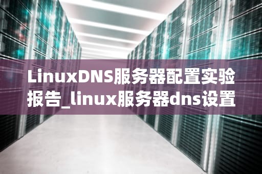 LinuxDNS服务器配置实验报告_linux服务器dns设置_LinuxDNS服务器配置实验报告