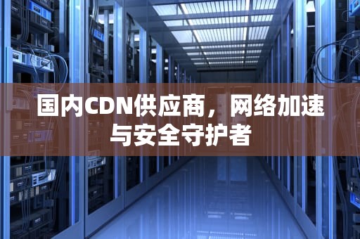 国内CDN供应商，网络加速与安全守护者
